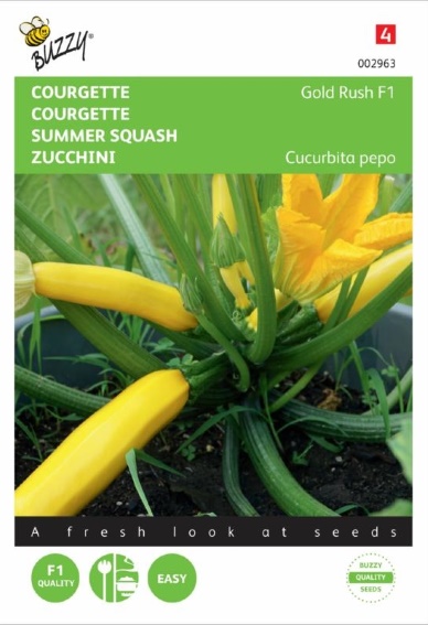 Courgette Gold Rush F1 (Cucurbita) 16 zaden